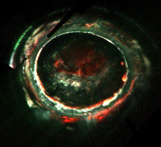 Aurora at Jupiter’s southern pole, as seen by Juno. The colors represent different wavelength strengths of electrons hitting the atmosphere, where red is high, and blue is low. That weird auroral streak at top left is caused by Jupiter’s moon Io. (Image: G. Randy Gladstone)